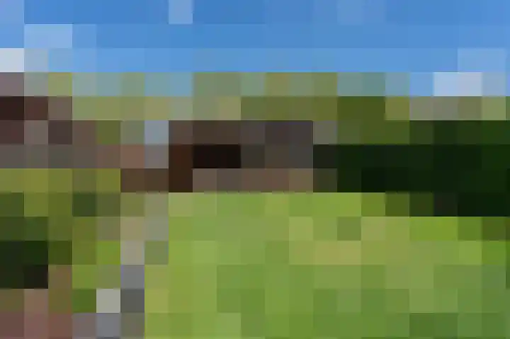 Schoolkade 137 Musselkanaal thumbnail 32