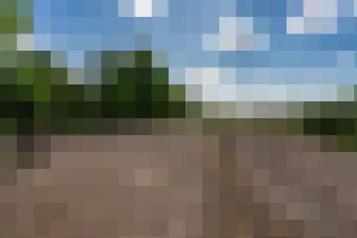 Schoolkade 137 Musselkanaal thumbnail 37