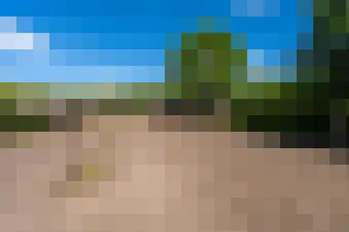 Schoolkade 137 Musselkanaal thumbnail 38