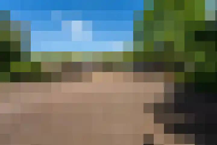 Schoolkade 137 Musselkanaal thumbnail 39