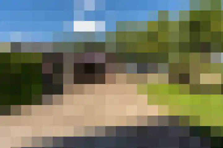 Schoolkade 137 Musselkanaal thumbnail 45