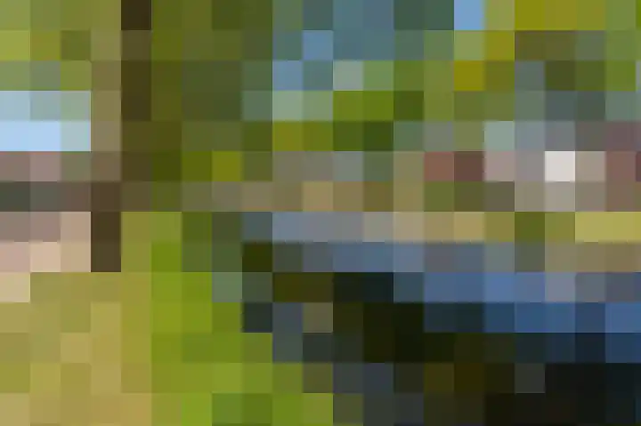 Schoolkade 137 Musselkanaal thumbnail 48