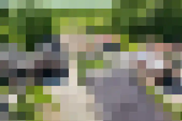 Schoolkade 137 Musselkanaal thumbnail 52