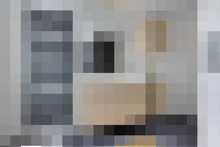 Schoolkade 14 Musselkanaal thumbnail 21