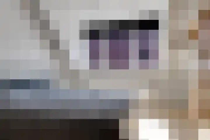 Schoolkade 14 Musselkanaal thumbnail 30