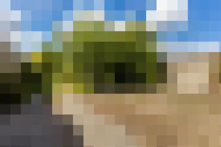 Schoolkade 14 Musselkanaal thumbnail 31