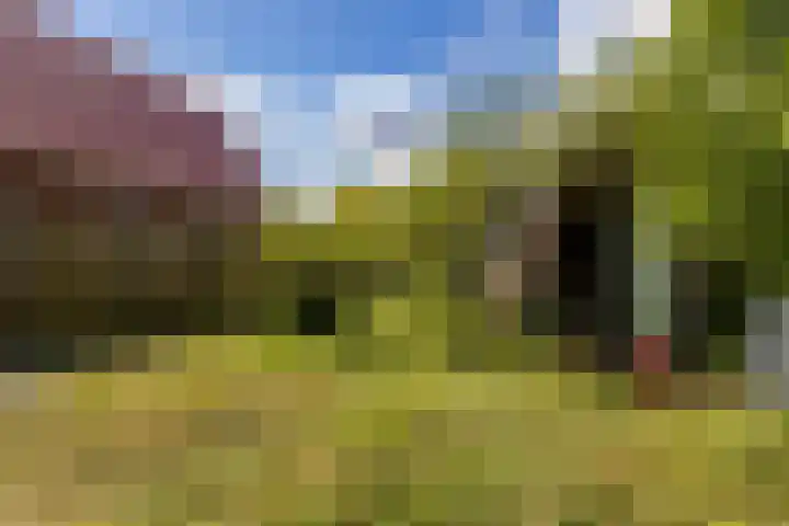 Schoolkade 14 Musselkanaal thumbnail 32