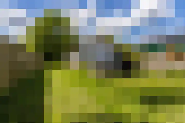 Schoolkade 14 Musselkanaal thumbnail 33