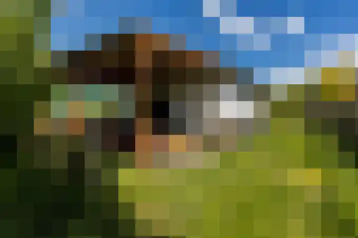Schoolkade 14 Musselkanaal thumbnail 34