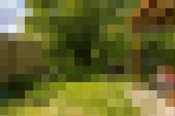 Schoolkade 14 Musselkanaal thumbnail 35