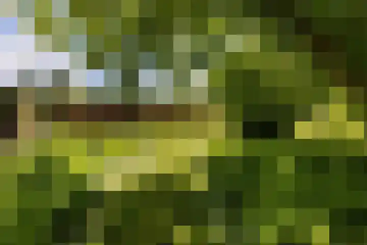 Schoolkade 14 Musselkanaal thumbnail 36