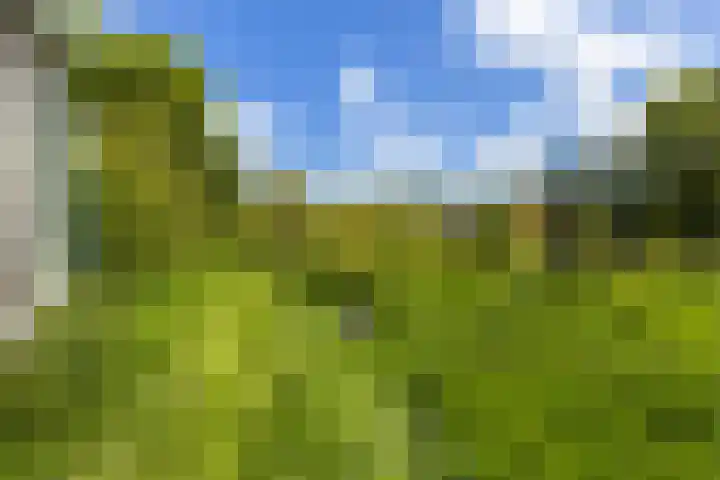 Schoolkade 14 Musselkanaal thumbnail 37