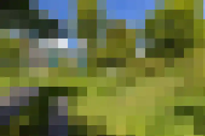 Schoolkade 14 Musselkanaal thumbnail 38