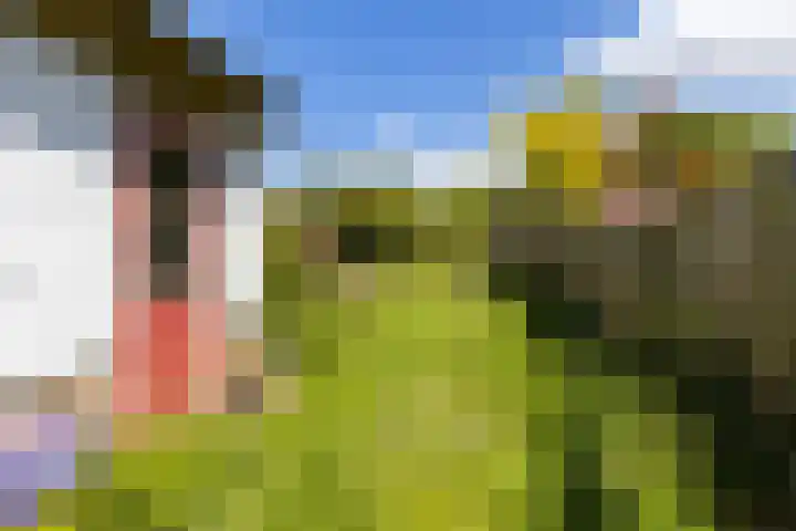 Schoolkade 14 Musselkanaal thumbnail 39