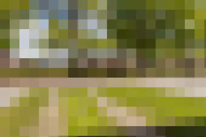Schoolkade 14 Musselkanaal thumbnail 8
