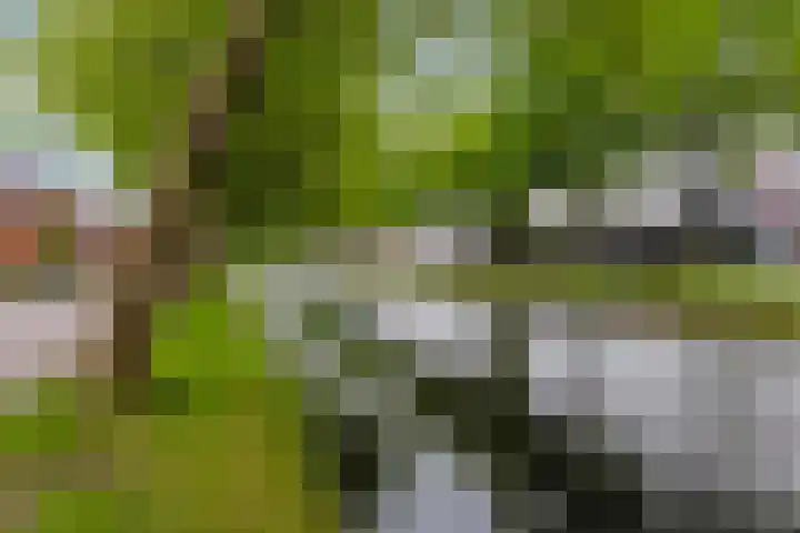 Schoolkade 149 Musselkanaal thumbnail 11