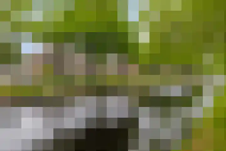 Schoolkade 149 Musselkanaal thumbnail 12