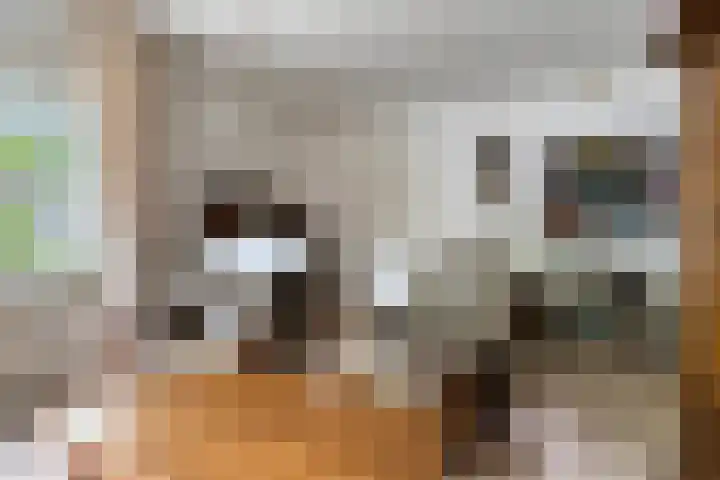 Schoolkade 149 Musselkanaal thumbnail 16