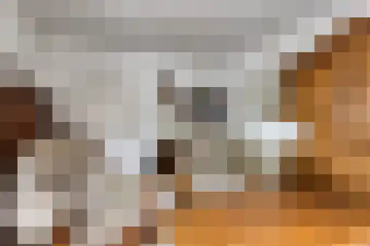 Schoolkade 149 Musselkanaal thumbnail 17