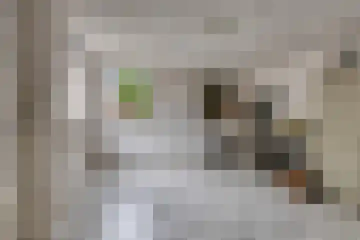 Schoolkade 149 Musselkanaal thumbnail 26