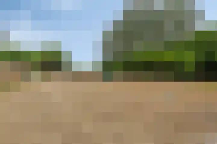 Schoolkade 149 Musselkanaal thumbnail 39