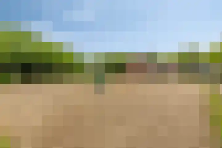 Schoolkade 149 Musselkanaal thumbnail 40
