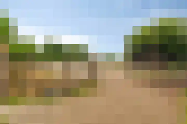 Schoolkade 149 Musselkanaal thumbnail 41