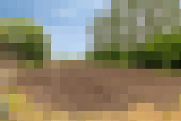 Schoolkade 149 Musselkanaal thumbnail 42