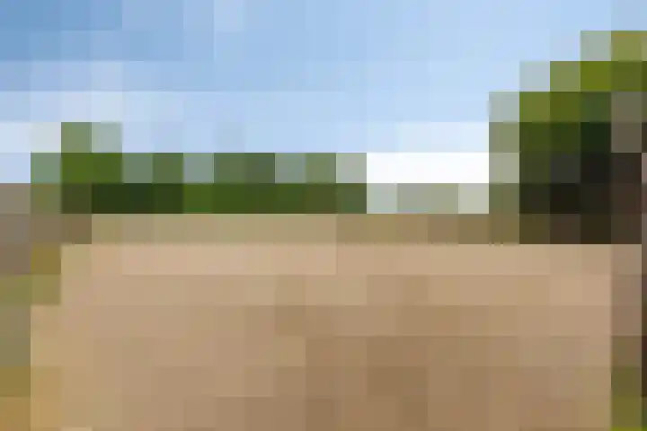 Schoolkade 149 Musselkanaal thumbnail 43