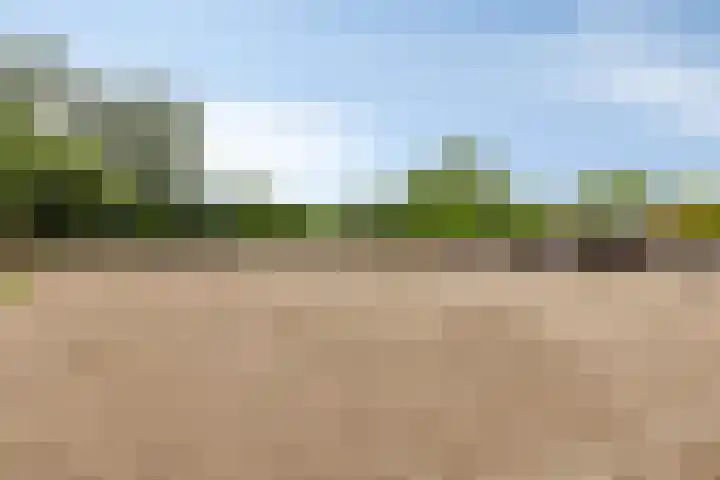 Schoolkade 149 Musselkanaal thumbnail 44