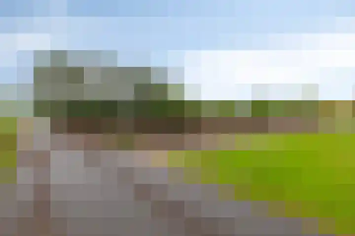Schoolkade 149 Musselkanaal thumbnail 46