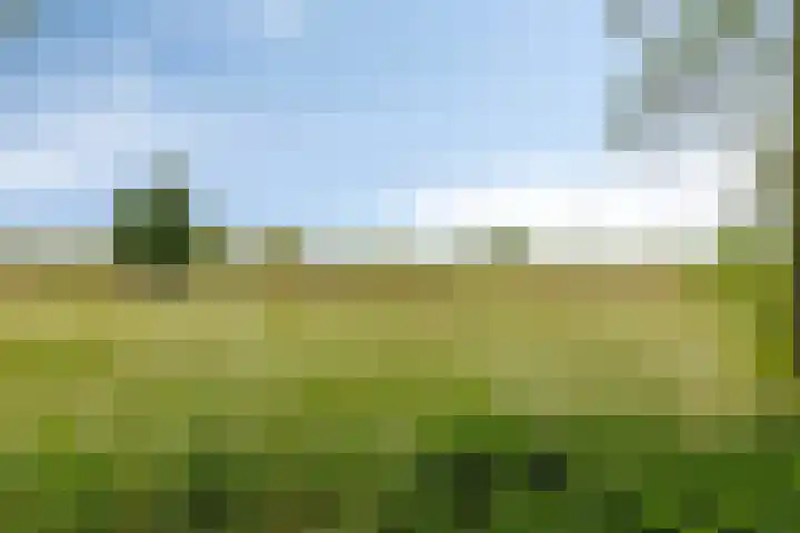 Schoolkade 149 Musselkanaal thumbnail 47