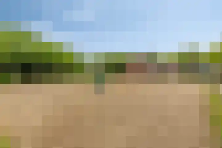 Schoolkade 149 Musselkanaal thumbnail 6