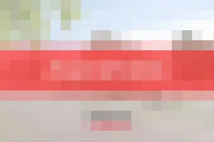 Schoolkade 149 Musselkanaal thumbnail 7