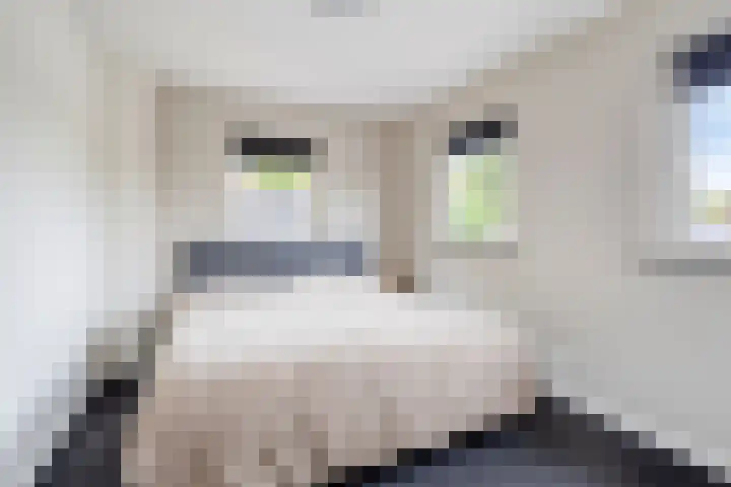 Schoolkade 175 Musselkanaal thumbnail 35