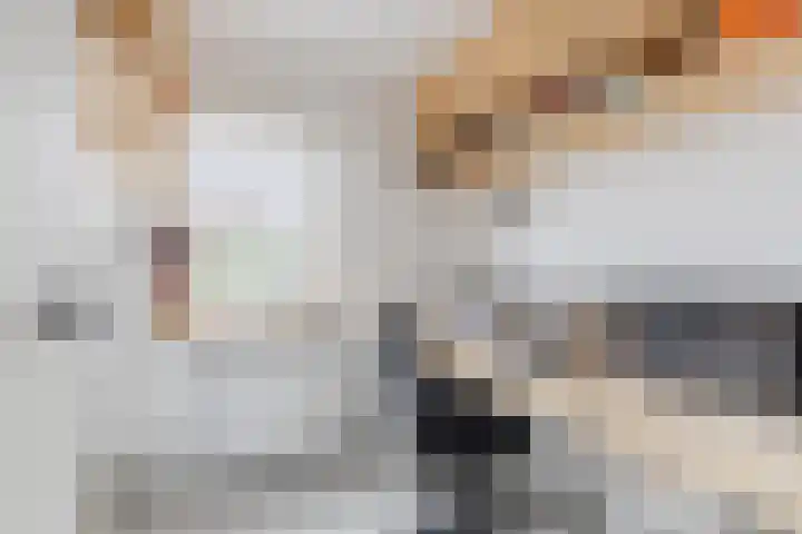 Schoolkade 6 Assendelft thumbnail 28