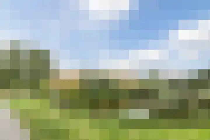 Schoolkade 6 Assendelft thumbnail 4