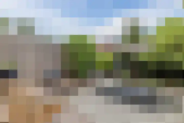 Schoolkade 6 Assendelft thumbnail 40