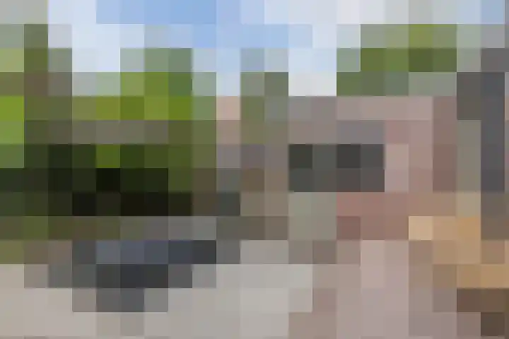 Schoolkade 6 Assendelft thumbnail 41