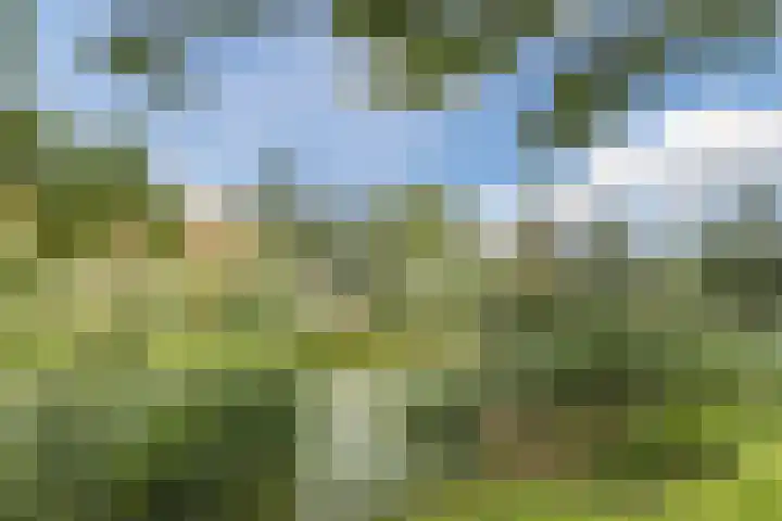 Schoolkade 6 Assendelft thumbnail 46