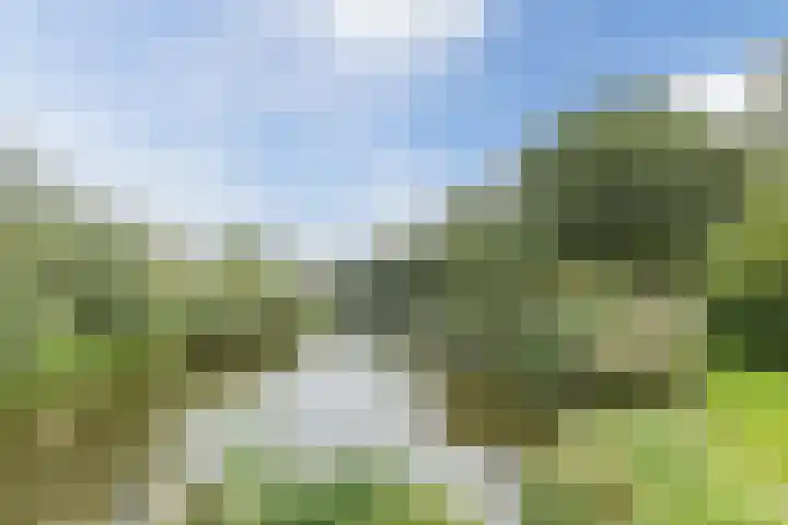 Schoolkade 6 Assendelft thumbnail 47