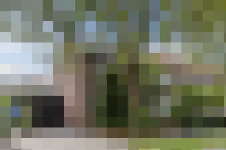 Schoolkade 6 Assendelft thumbnail 5