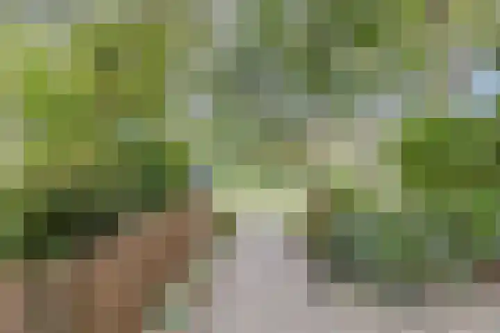 Schoolkade 6 Assendelft thumbnail 51