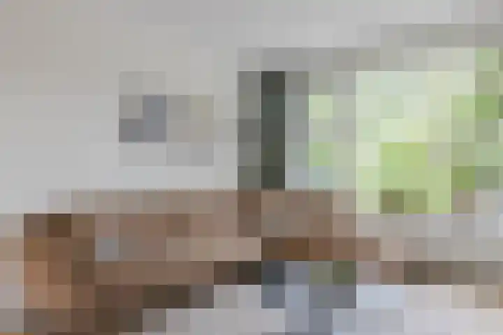Schoolkade 6 Assendelft thumbnail 8