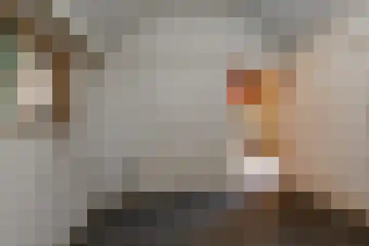 Schoolkade 78 Musselkanaal thumbnail 16