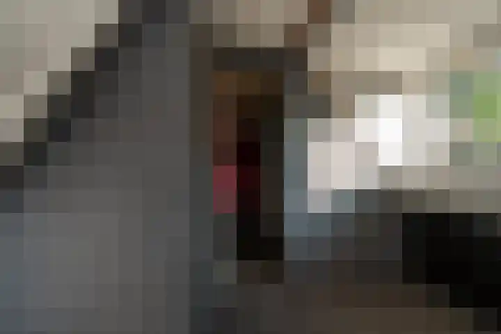 Schoolkade 78 Musselkanaal thumbnail 21
