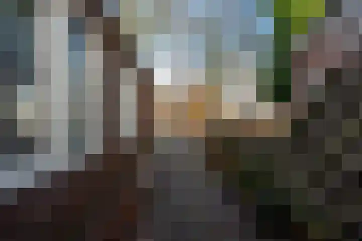 Schoolkade 78 Musselkanaal thumbnail 29