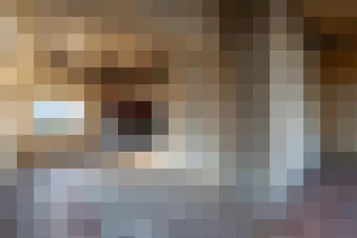 Schoolkade 78 Musselkanaal thumbnail 4