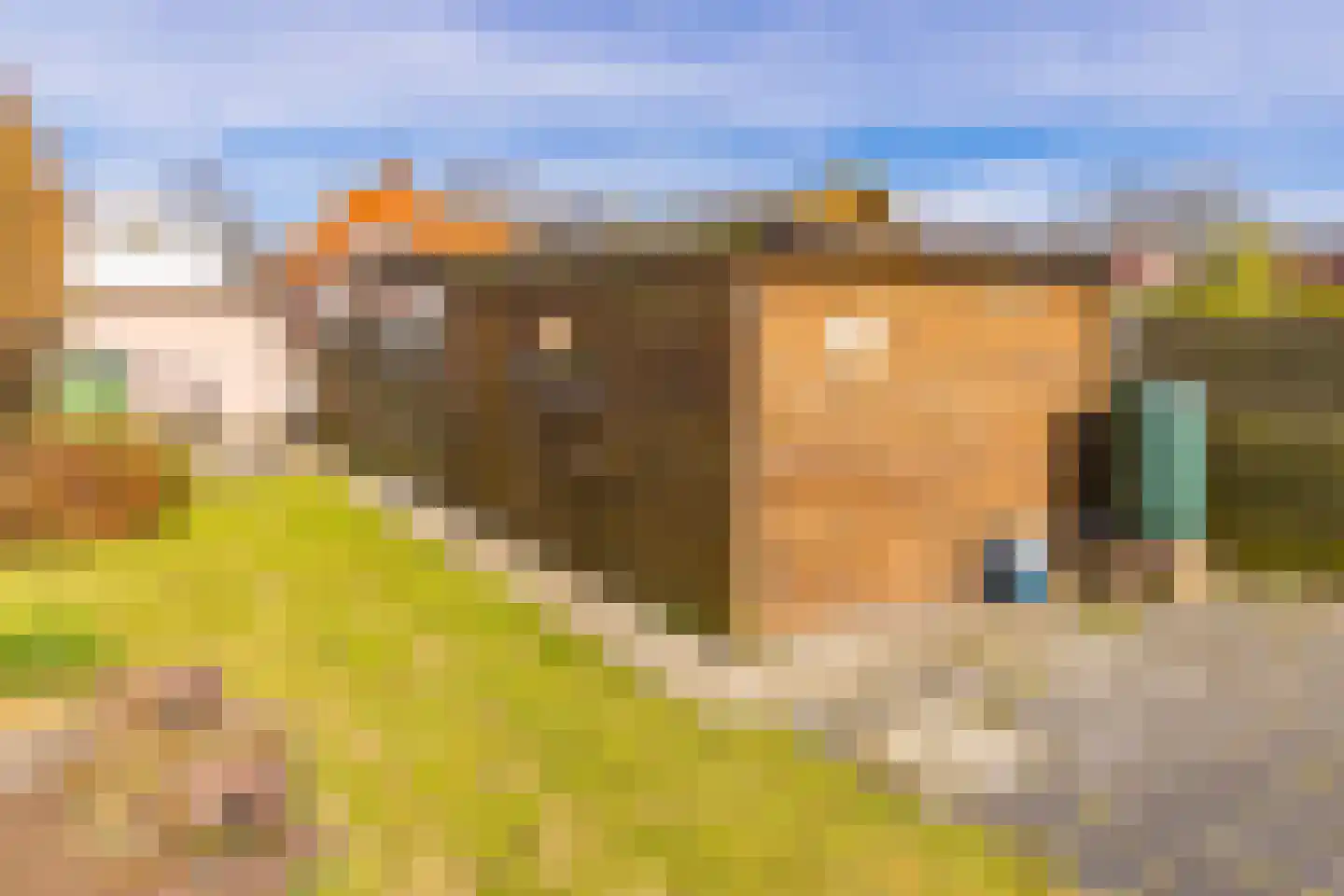 Schoolkade 9 Musselkanaal thumbnail 40