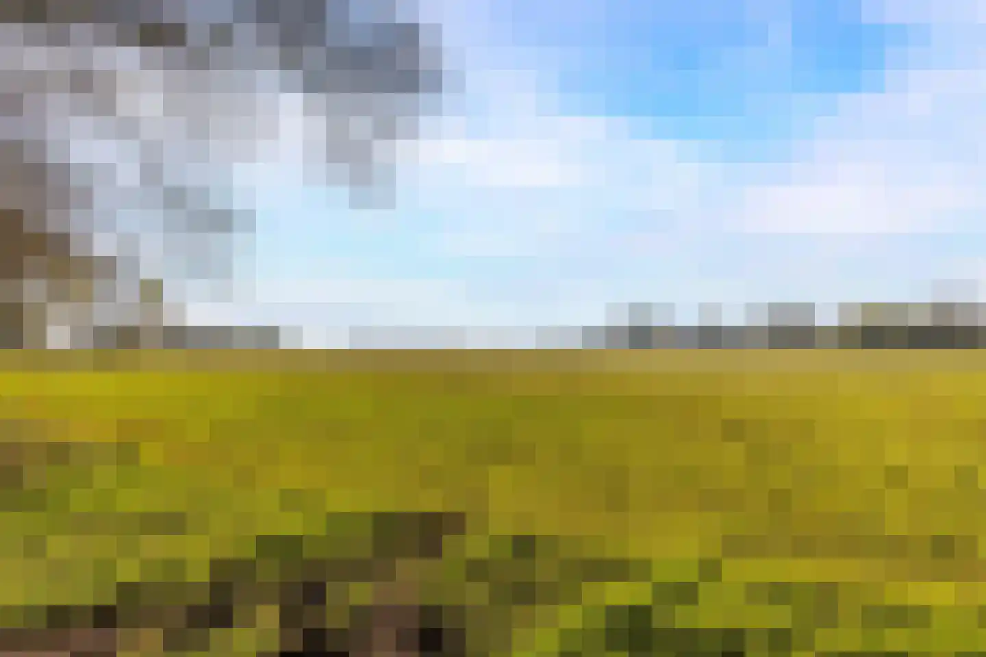 Schoolkaterdijk 80 Haaksbergen thumbnail 10